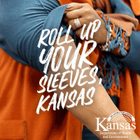 Roll Up Your Sleeves digital ad